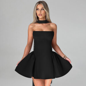 Sexy Tube Top Dress With Back Zipper Design Ins Fashion Short Dress For Party Clothing Women - Image 7